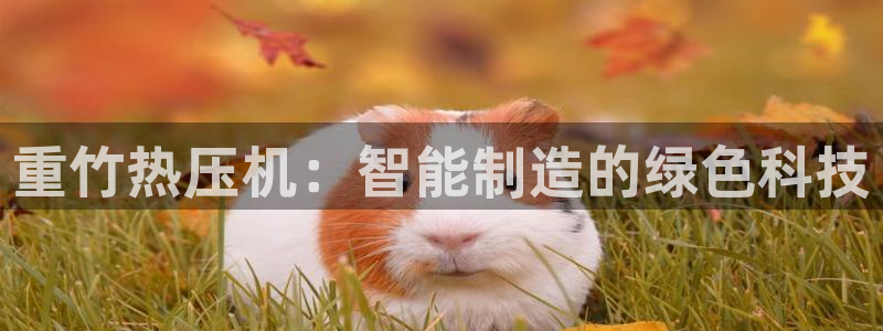 辉达娱乐最新消息新闻