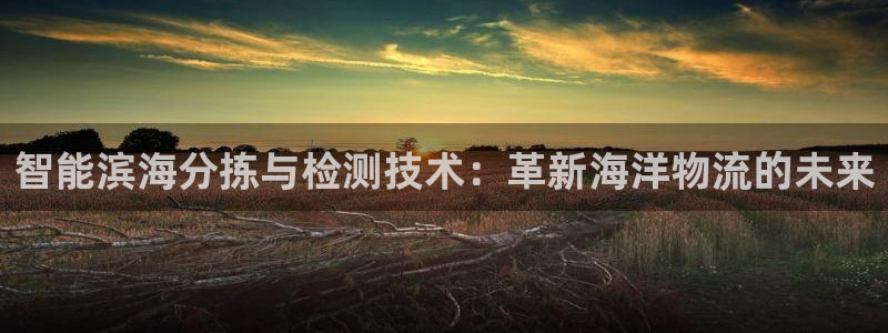 辉达平台注册资金多少