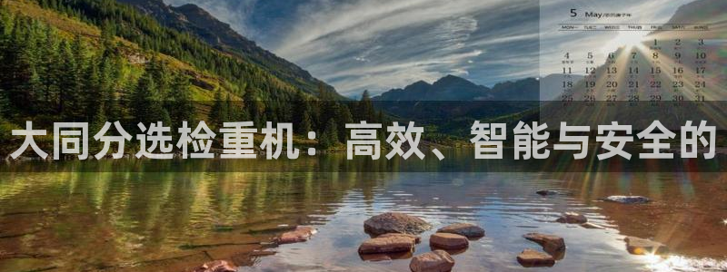 辉达娱乐最新消息新闻：大同分选检重机：高效、智能与安全的