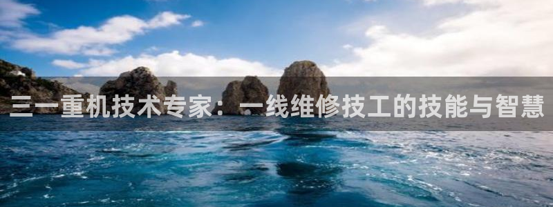 辉达娱乐电子游艺