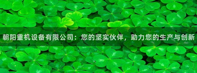 辉达平台注册入口：朝阳重机设备有限公司：您的坚实伙伴，助力您