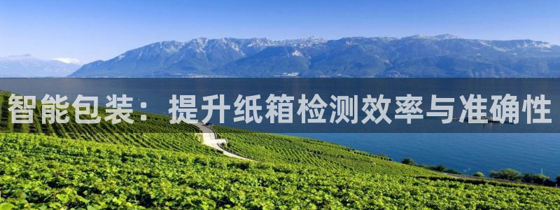 辉达平台注册流程：智能包装：提升纸箱检测效率与准确性