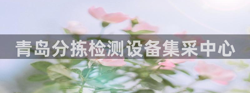 恒达娱乐辉70667：青岛分拣检测设备集采中心