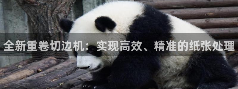 辉达平台注册：全新重卷切边机：实现高效、精准的纸张处理