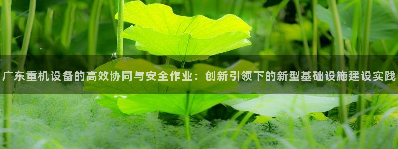 辉达娱乐最新版本更新内容：广东重机设备的高效协同与安全作业：