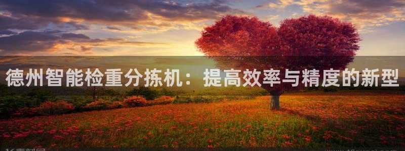 达利娱乐王辉：德州智能检重分拣机：提高效率与精度的新型