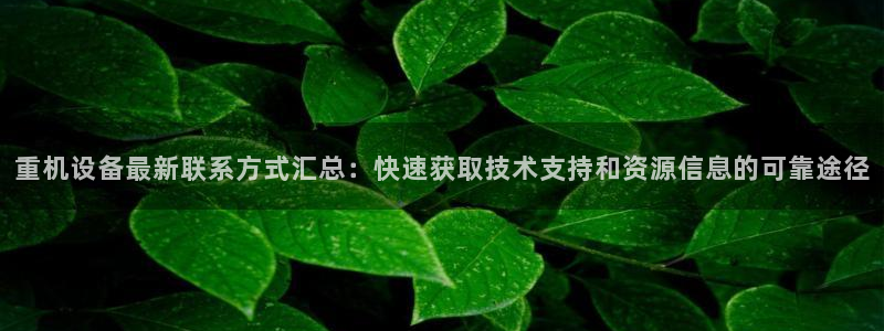 辉达娱乐电子游艺