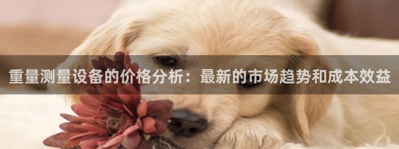 代理辉达娱乐：重量测量设备的价格分析：最新的市场趋势和成本效