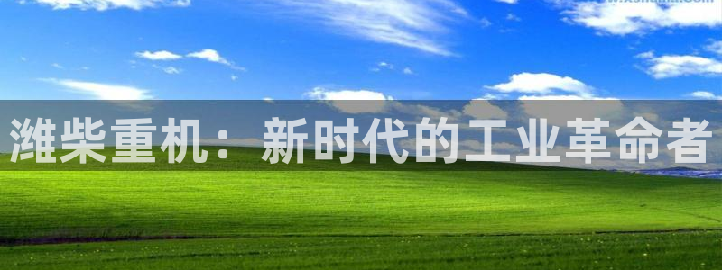 辉达娱乐官网：潍柴重机：新时代的工业革命者