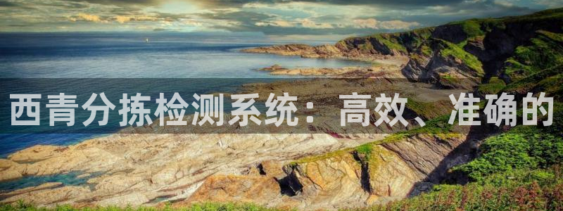 辉达平台官网电话：西青分拣检测系统：高效、准确的