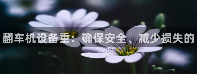 辉达娱乐最新消息新闻：翻车机设备重：确保安全、减少损失的