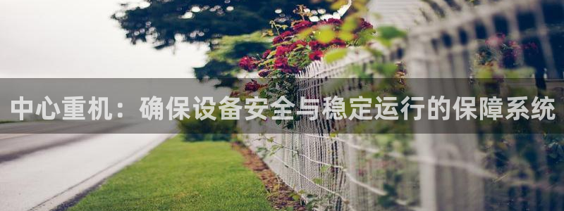 辉达娱乐：中心重机：确保设备安全与稳定运行的保障系统