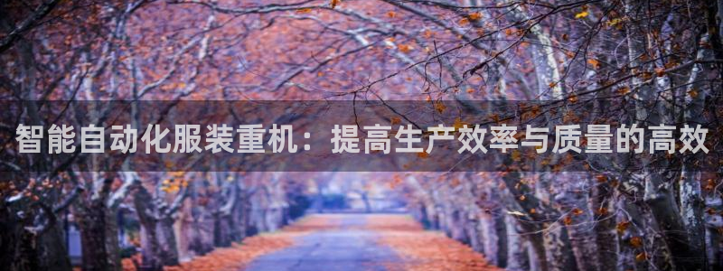 辉达平台官网首页：智能自动化服装重机：提高生产效率与质量的高