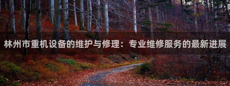 辉达娱乐新疆时时彩