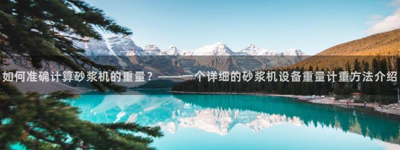 辉达平台娱乐怎么样：如何准确计算砂浆机的重量？——一个详细的