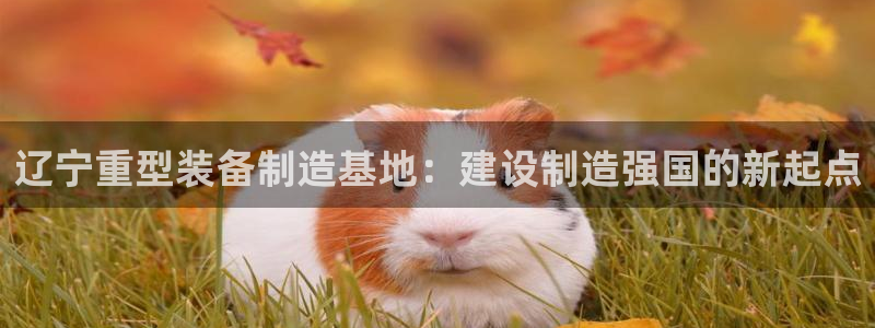 辉达平台官网电话：辽宁重型装备制造基地：建设制造强国的新起点