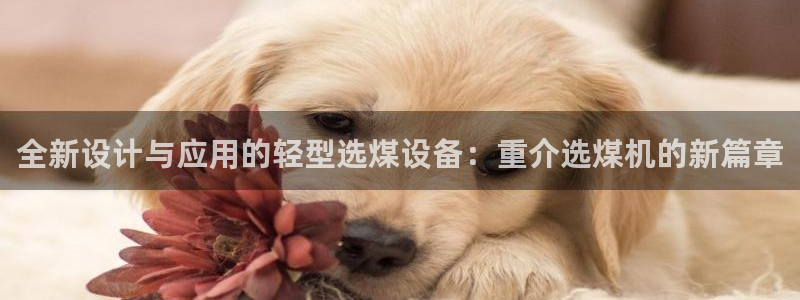 辉达平台注册资金多少：全新设计与应用的轻型选煤设备：重介选煤