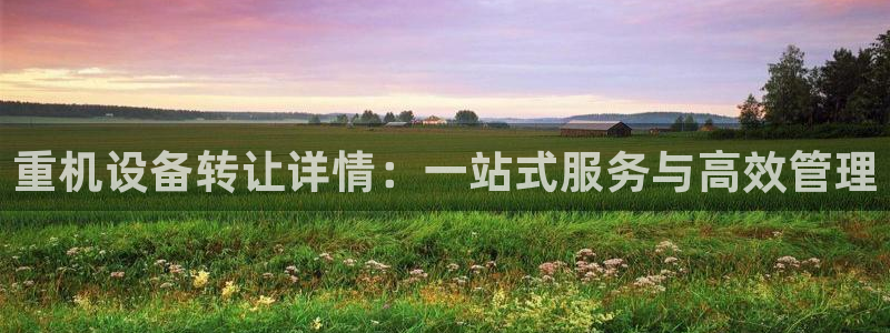 专业辉达娱乐官方网址：重机设备转让详情：一站式服务与高效管理