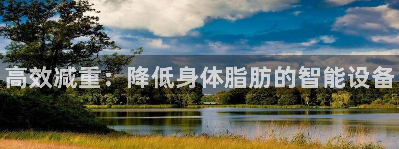 辉达娱乐总部：高效减重：降低身体脂肪的智能设备