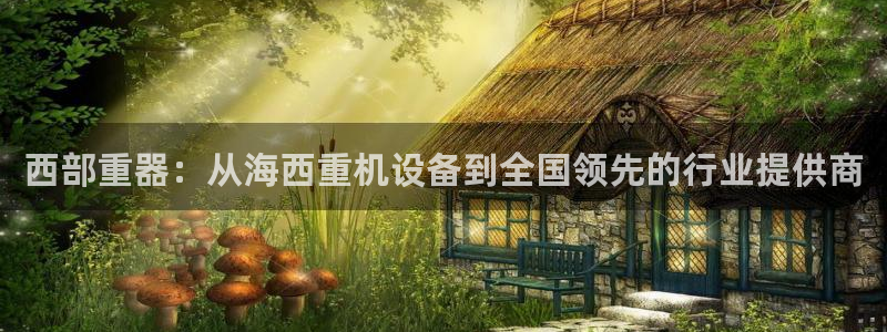 辉达平台注册入口：西部重器：从海西重机设备到全国领先的行业提