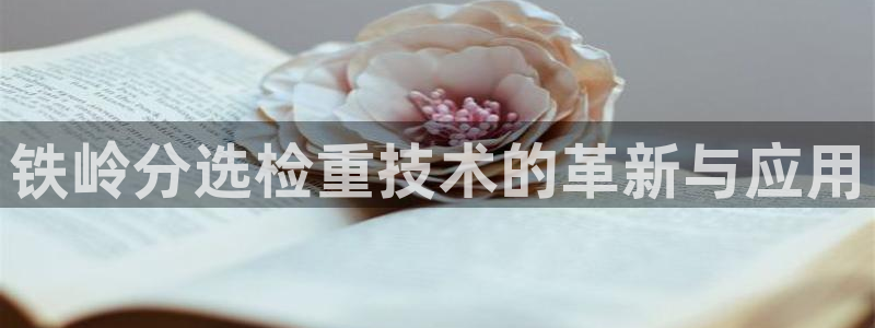 辉达娱乐可靠：铁岭分选检重技术的革新与应用