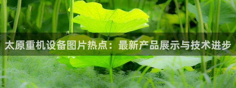 辉达娱乐总部