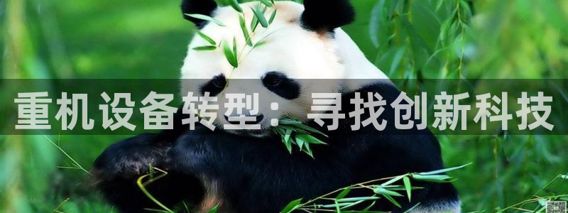 菲律宾辉达娱乐