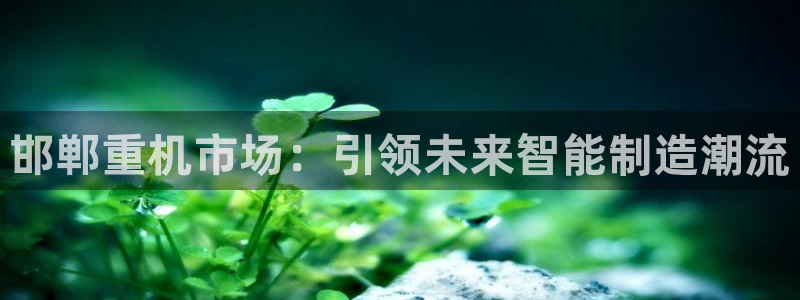 辉达娱乐官方网址
