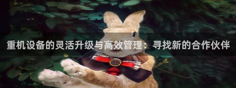 辉达娱乐游戏.直开.中国：重机设备的灵活升级与高效管理：寻找