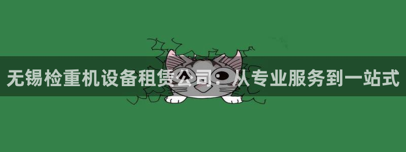 辉达娱乐公司