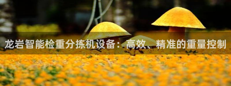 辉达娱乐珈75775