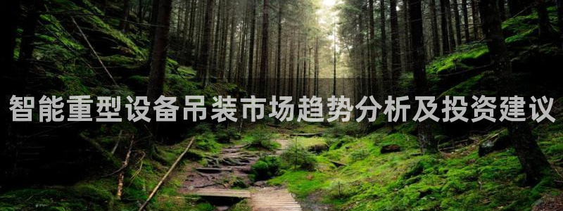 专业辉达娱乐平台：智能重型设备吊装市场趋势分析及投资建议
