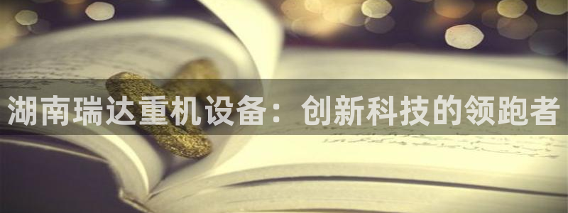 辉达娱乐兼职：湖南瑞达重机设备：创新科技的领跑者