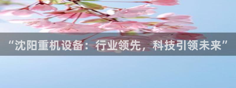 正规辉达娱乐：“沈阳重机设备：行业领先，科技引领未来”