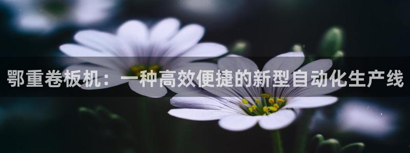 辉达娱乐丶39444：鄂重卷板机：一种高效便捷的新型自动化生
