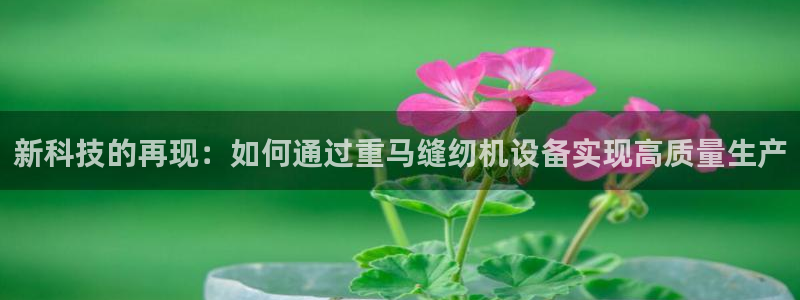 辉达娱乐兼职：新科技的再现：如何通过重马缝纫机设备实现高质量