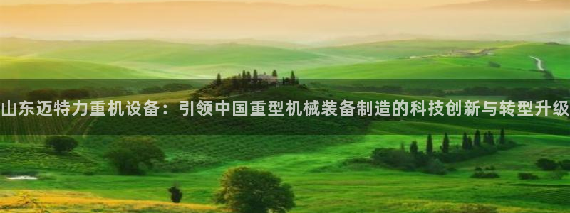辉达娱乐可靠：山东迈特力重机设备：引领中国重型机械装备制造的