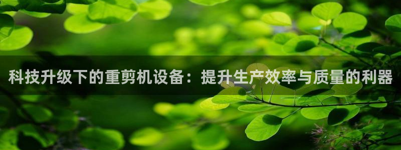 辉达娱乐体育竞猜
