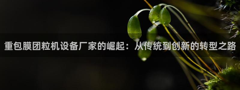 辉达娱乐网址：重包膜团粒机设备厂家的崛起：从传统到创新的转型