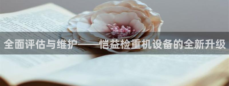 代理辉达娱乐平台：全面评估与维护——恺益检重机设备的全新升级