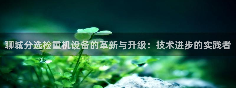 辉达娱乐登录：聊城分选检重机设备的革新与升级：技术进步的实践