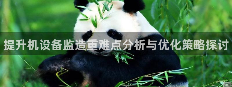 辉达平台娱乐怎么样：提升机设备监造重难点分析与优化策略探讨