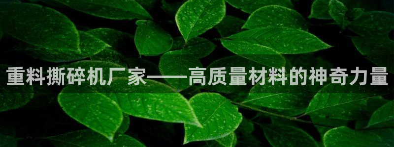 辉达娱乐检测：重料撕碎机厂家——高质量材料的神奇力量