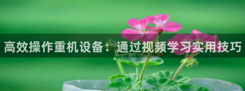 辉达娱乐加q75775稳定