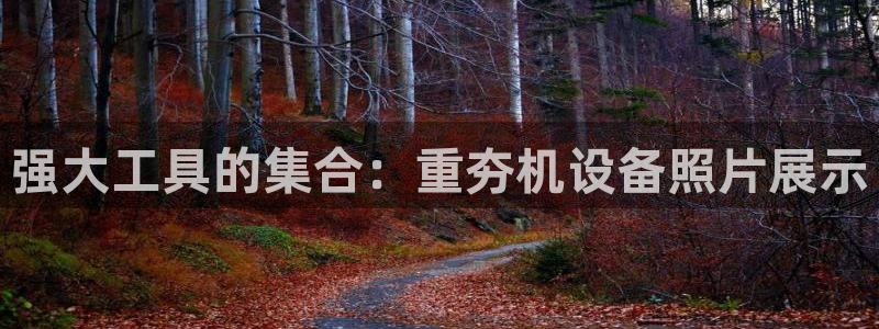 辉达平台注册官方网站入口：强大工具的集合：重夯机设备照片展示