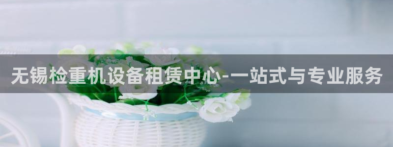 辉达娱乐下载