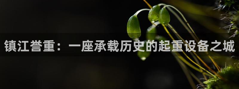 辉达娱乐加扣75775