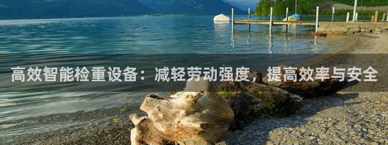辉达娱乐注册：高效智能检重设备：减轻劳动强度，提高效率与安全