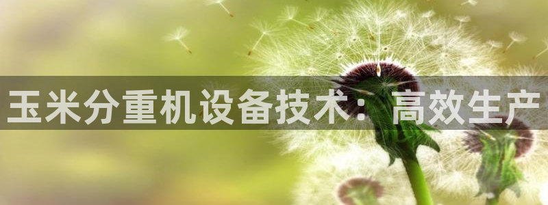 辉达平台官网网站：玉米分重机设备技术：高效生产