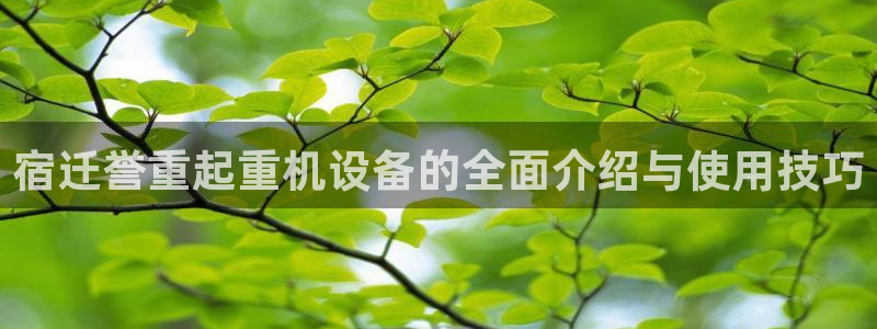 辉达娱乐注册